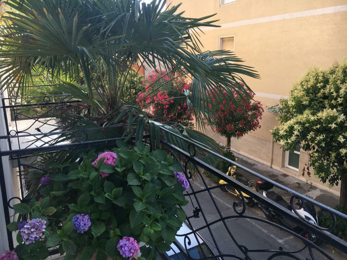 Rodeo Drive Viareggio